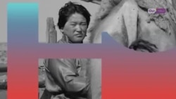 Как спасти Тесовскую узкоколейку